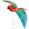 Piececool Scarlet Macaw